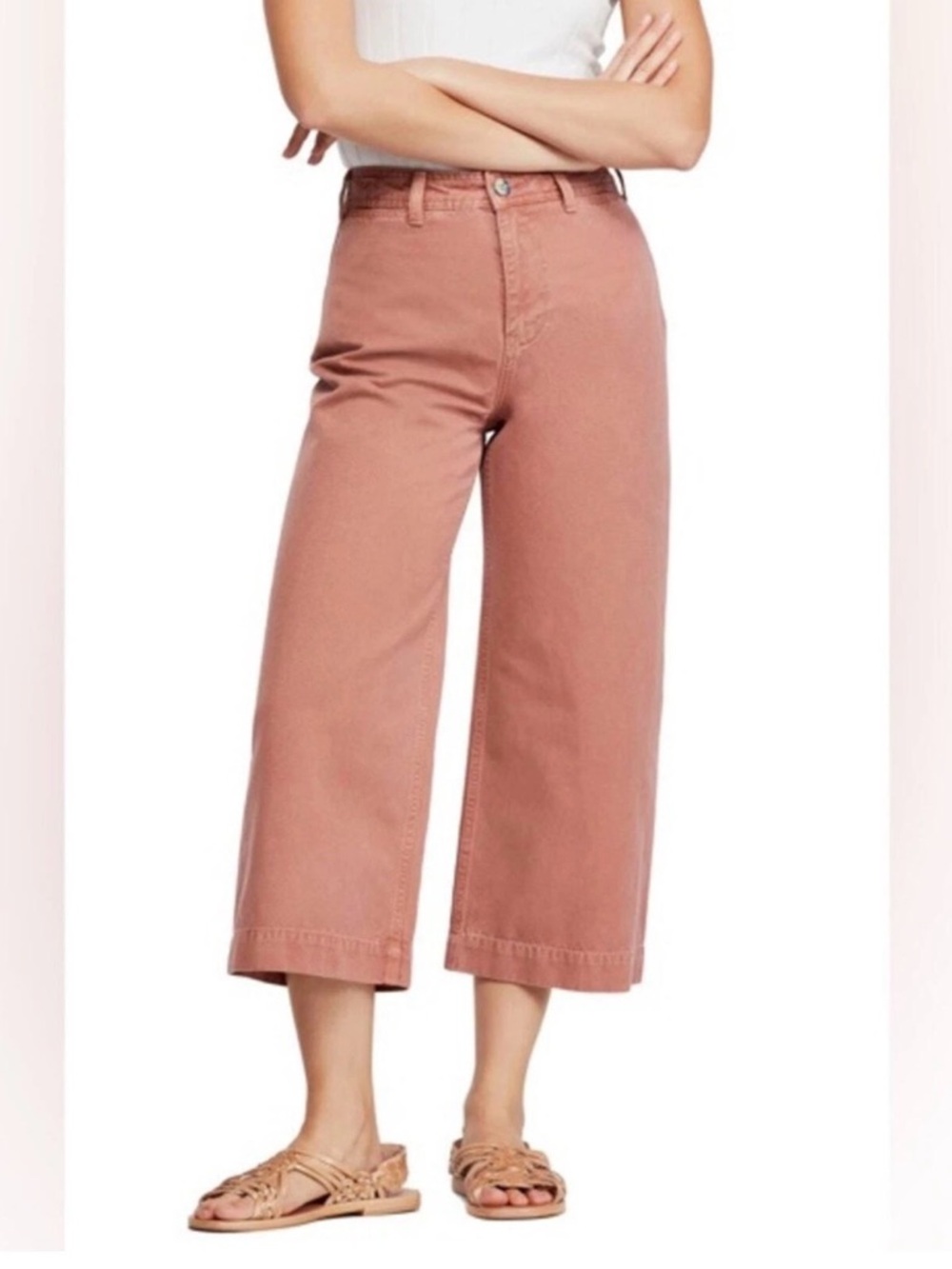 Free People We The Free Patti crop cotton pants in a rose pink color size 26